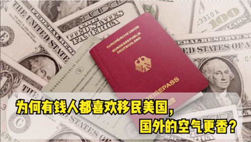 移民美国公司有哪些_移民美国公司排名_移民美国的公司