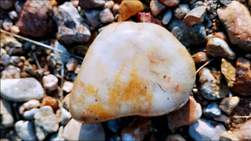 和田純一 腾讯视频