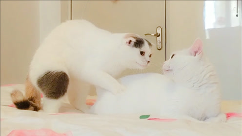 腾讯视频