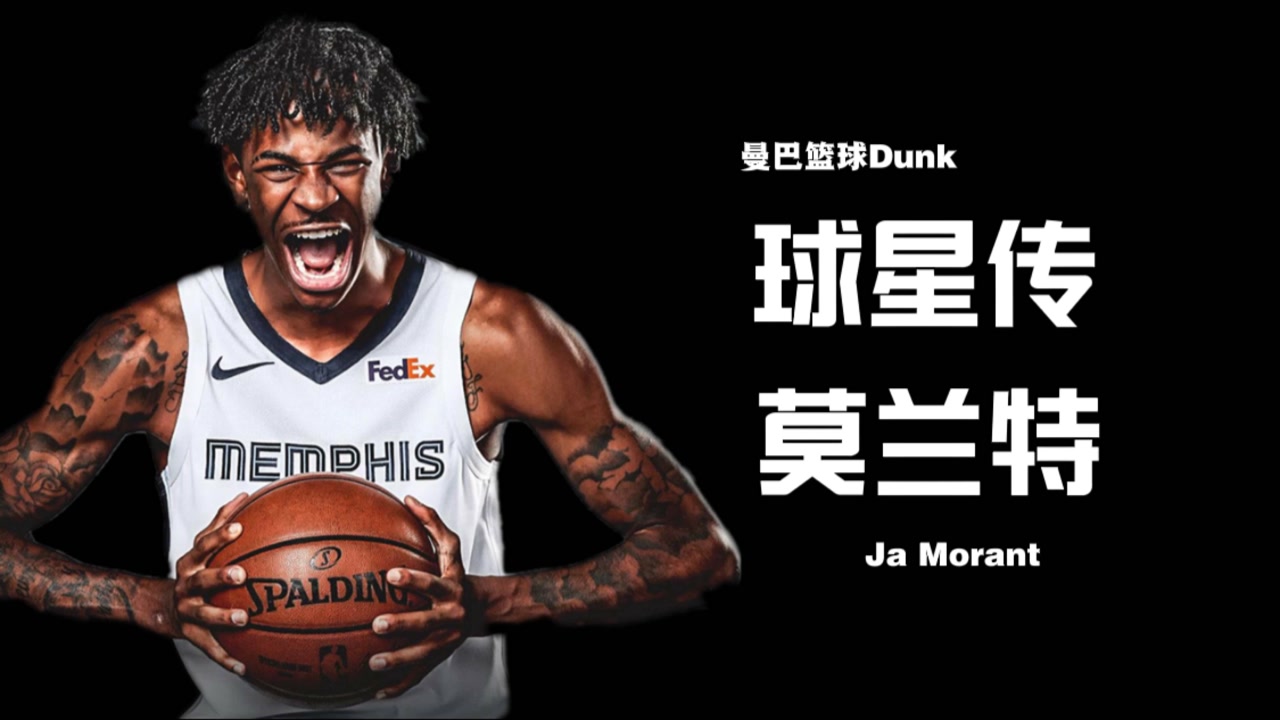鹈鹕vs灰熊，鹈鹕vs灰熊在线直播无插件