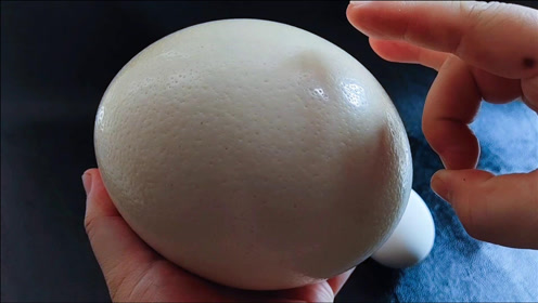 腾讯视频