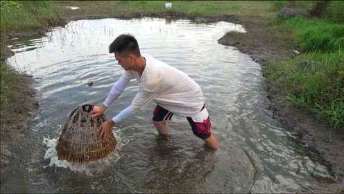 大伯發現水塘大動靜有魚,小夥帶上竹筐追著抓魚,收穫太意外了