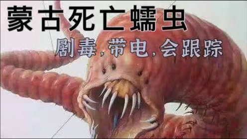 蒙古死亡蠕虫来自沙漠底下的巨兽 当地人称不论人畜遇到它 必定尸骨