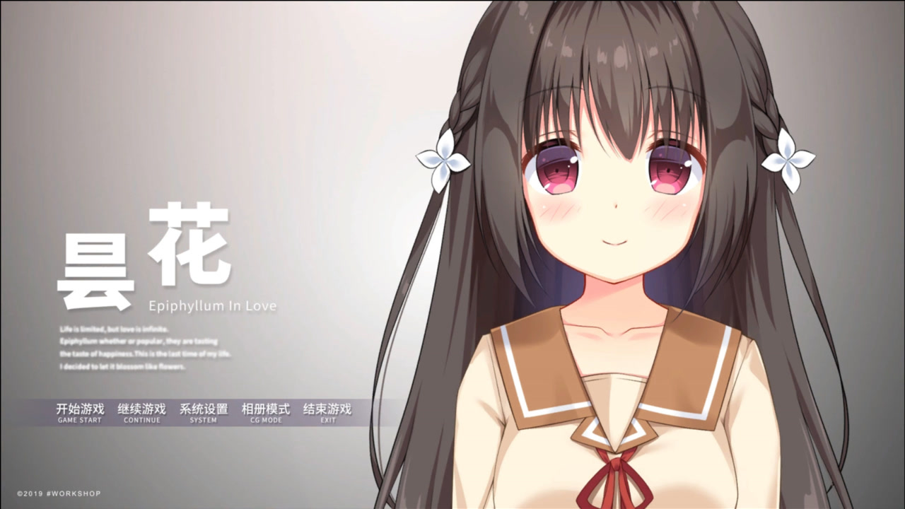 《昙花》11:小殷的再次出现,让我有些激动,有点语无伦次