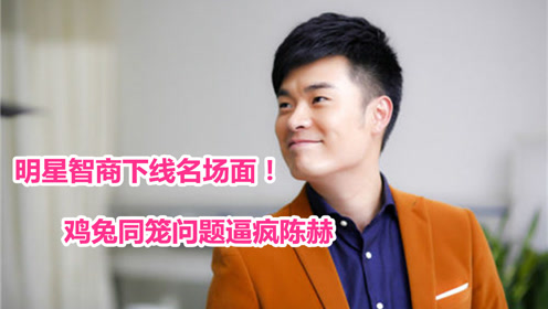 明星智商下线名场面!鸡兔同笼逼疯陈赫,王宝强算数不行遭嘲笑