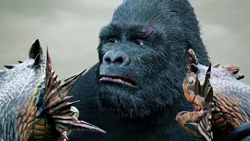 "金刚"大战荒岛暴君双头蛇王!