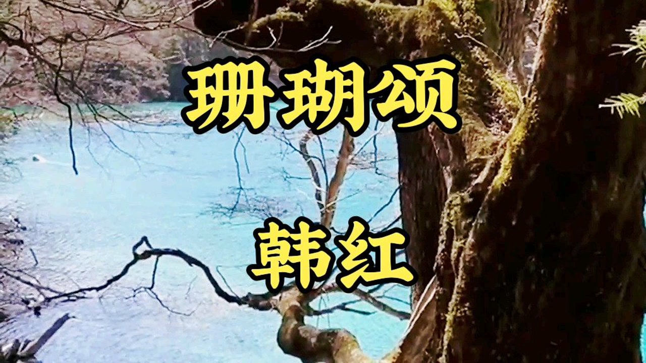 红梅赞和珊瑚颂分不清的请举手