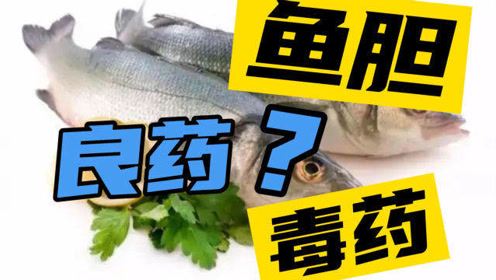 鱼胆是明目的良药还是会中毒的食物真相来了