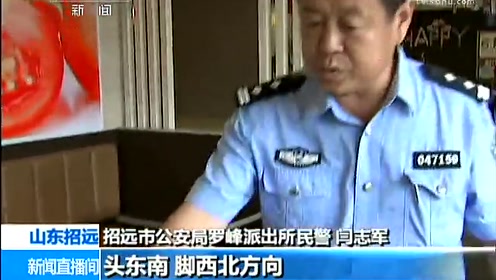 528杀人案 腾讯视频