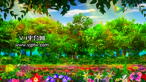 树木花树木花草 腾讯视频