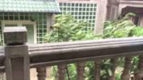 腾讯视频