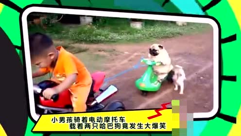 带狗狗骑摩托车 腾讯视频
