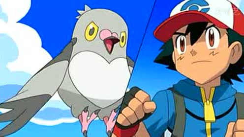 小智用皮卡丘在合众收复了第一个神奇宝贝豆豆鸽