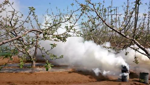 智能型防霜冻烟雾发生器