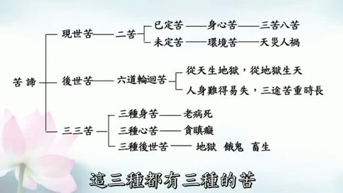 腾讯视频