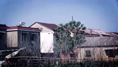 天网《掘井人》