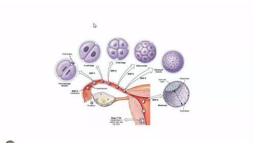 高中生物必修一(第1章 走近细胞)1 从生物圈到细胞