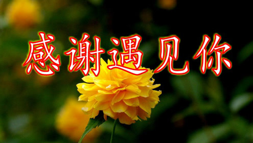 有你真好,一曲《谢谢上天让我遇见你》献给我的朋友们!