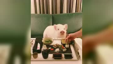 佛陀传