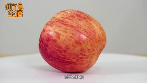 红富士苹果的生长 腾讯视频