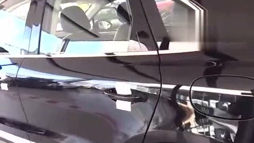 腾讯视频