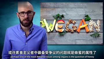 5分钟短片解答：蜂蜜算素食还是荤食？