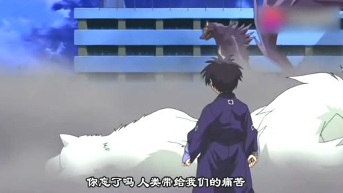 斑尾 腾讯视频