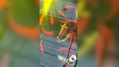 腾讯视频