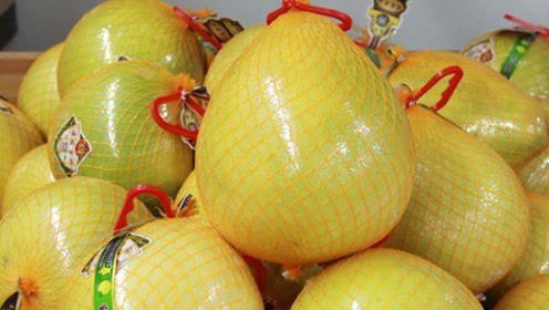 原来母柚子更甜,只需看准这个地方,买的个个是母柚