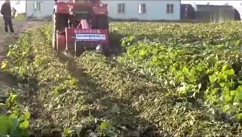 山芋除藤机 腾讯视频
