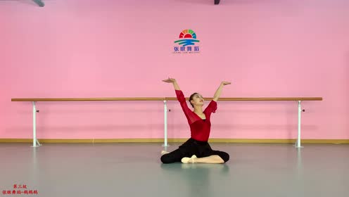 张暾舞蹈-中国舞民族舞古典舞考级教材 第三级  鹅鹅鹅>