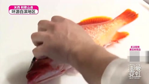 褐石斑鱼 腾讯视频