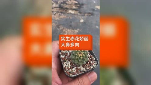腾讯视频