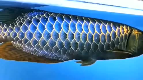 腾讯视频