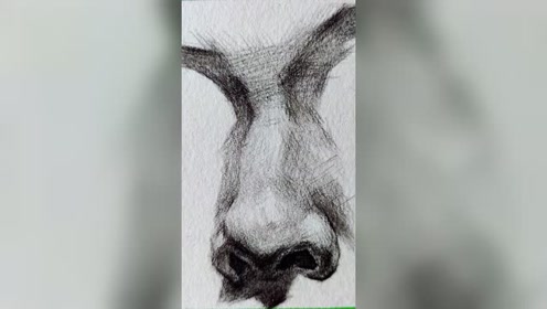 素描鼻子 腾讯视频