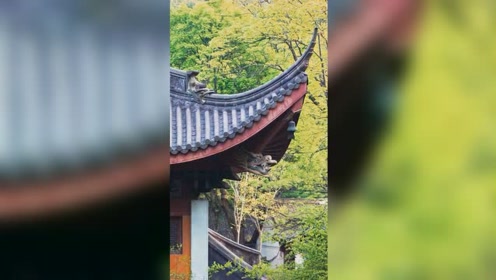 法界因缘起 腾讯视频