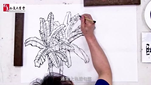 仁科仁美 腾讯视频