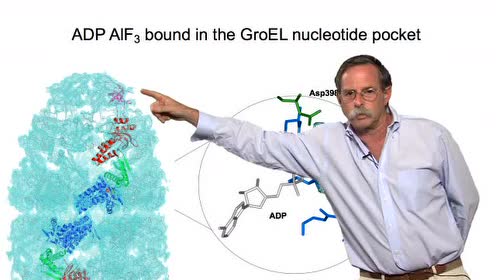 Part 3: The Role of ATP Binding and Hydrolysis at GroEL