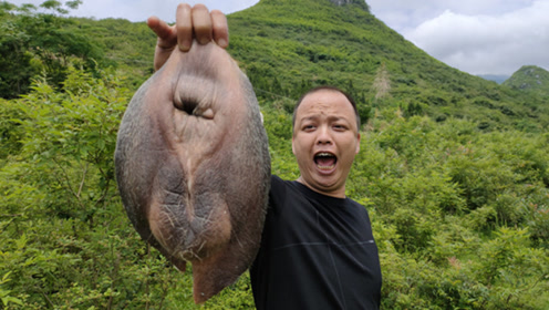 大山里,小伙拿来个3斤的牛欢喜,配上牛二,吃完后才知道不简单