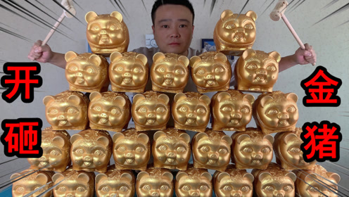 小浪哥花2640块钱买30个"超大金猪",砸到最后让小伙大惊赚大了