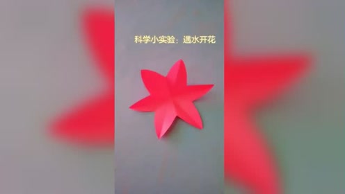 小纸花 腾讯视频