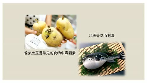 七年级生物下册第二章 人体的营养3.合理营养与食品安全