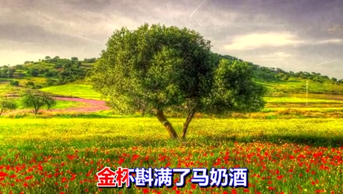 草原花开最漂亮 腾讯视频