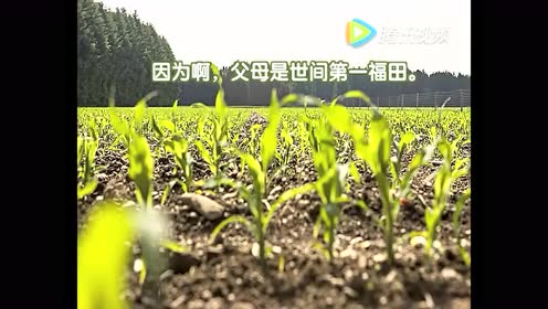 腾讯视频