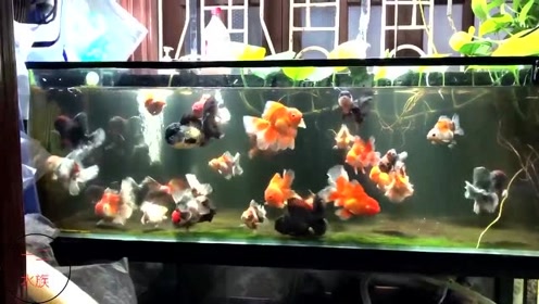 腾讯视频