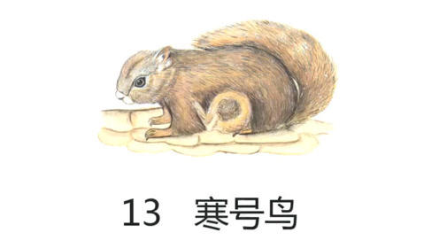 统编语文二年级上册 第13课《寒号鸟》课文朗读