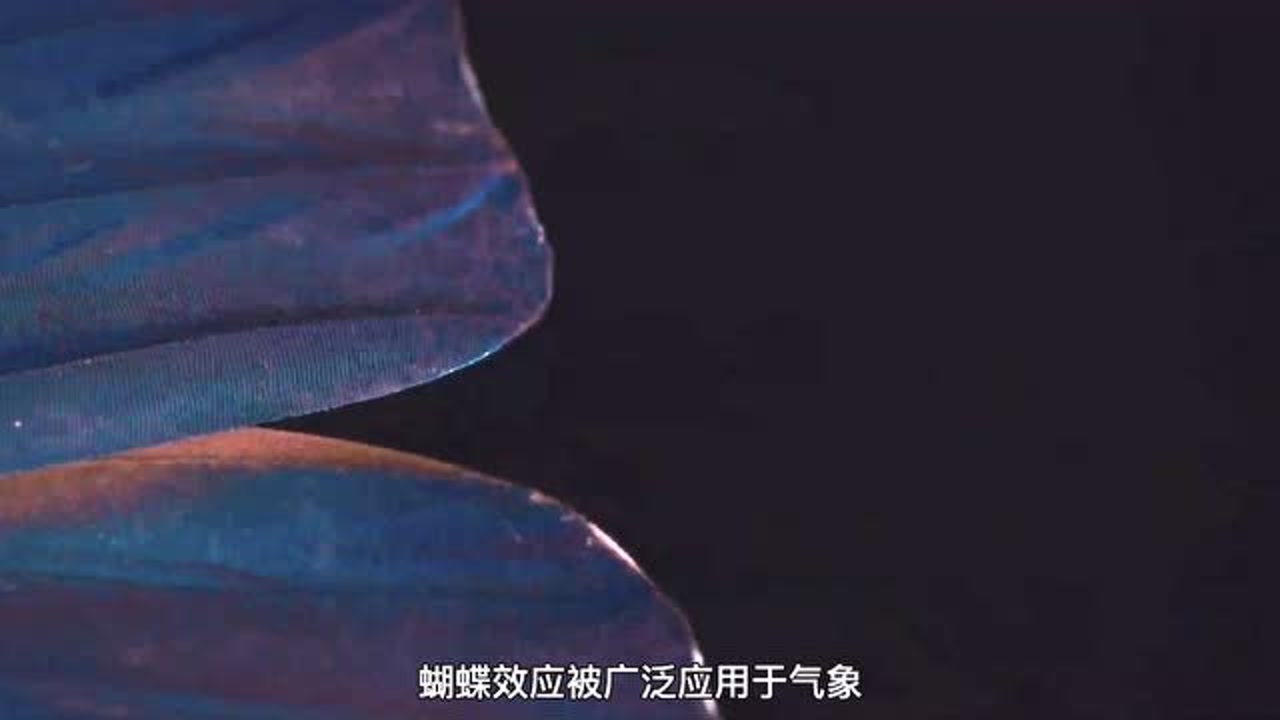 蝴蝶效应(拓扑学连锁反应)_搜狗百科