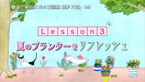 园艺盆栽 腾讯视频