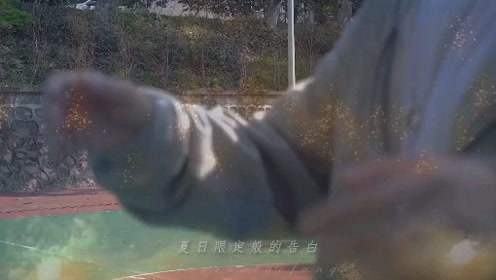 夏日告白 腾讯视频
