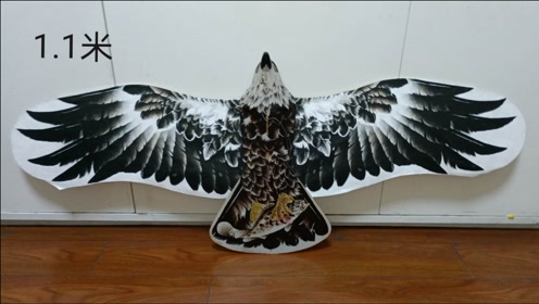 全玻璃钢盘鹰骨架制作经验介绍-上海国泓盘鹰风筝队